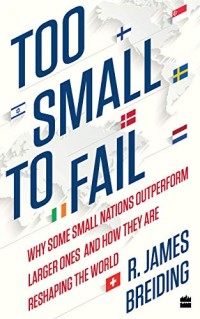Image of Too Small To Fail : Why Some Small Nations Outperform Larger Ones And How They Are Reshaping The World