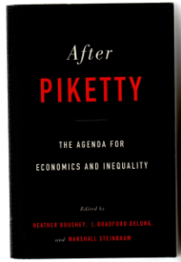 Image of After Piketty : The Agenda for Economics and Inequality