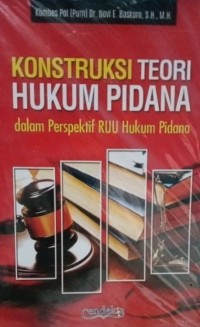 Image of Konstruksi Teori Hukum Pidana dalam Perspektif RUU Hukum Pidana